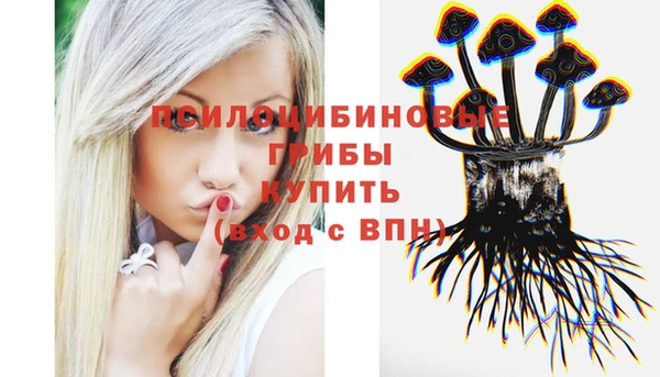 хмурый Горно-Алтайск
