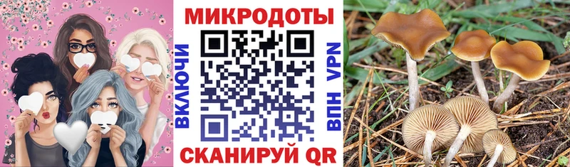 Купить  Шимановск  Галлюциногенные грибы прущие грибы 