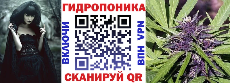 Марихуана семена  Купить где  Шимановск 